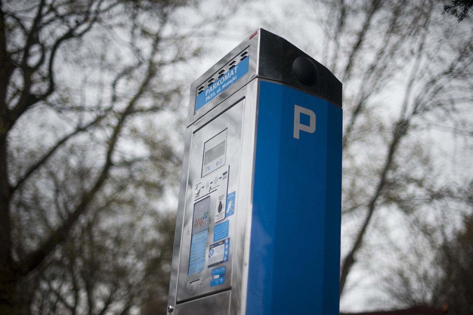 Blue parking pay station with a P sign beside bare trees