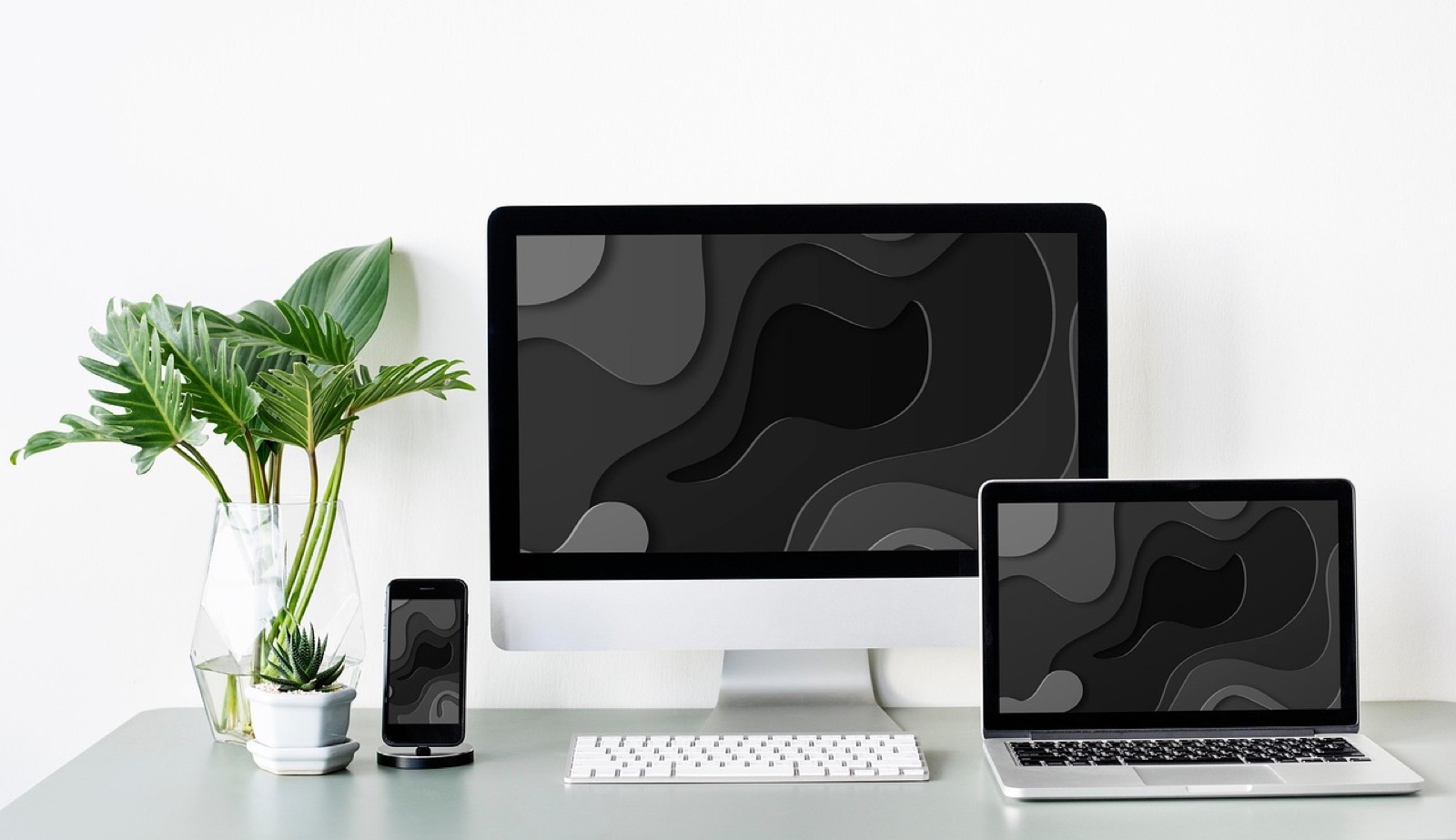 Desktop monitor, laptop and smartphone on a white desk with a potted plant